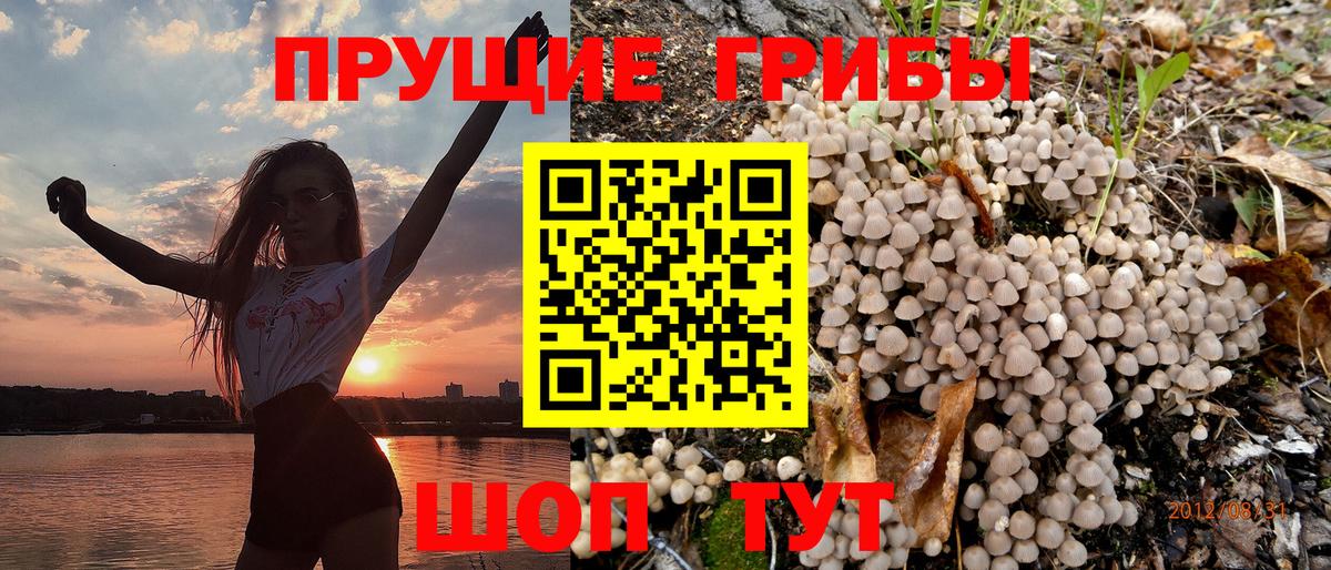 Галлюциногенные грибы Magic Shrooms Черкесск